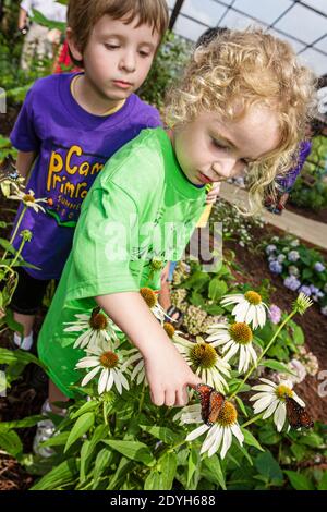 Huntsville Alabama, Giardino Botanico Butterfly House, fiori bambino bambini ragazzo ragazza in cerca, Foto Stock