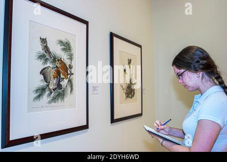 Auburn University Alabama, Jule Collins Smith Museo delle Belle Arti, Audubon collezione adolescente adolescente adolescente ragazza iscritto prendendo appunti, Foto Stock