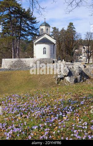 Montenegro. Vista della città di Cetinje nella soleggiata primavera. Chiesa di nascita di nostra Signora ( Corte Chiesa su Cipur ). Monastero di Cetinje in lontananza Foto Stock