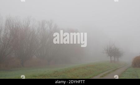 Misty giorno grigio nei campi durante la pandemia covid dare una sensazione di solitudine Foto Stock