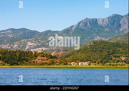 Costa del lago, bellissimo paesaggio estivo. Vista del Parco Nazionale Lago Skadar in giornata di sole vicino alla città di Virpazar. Montenegro Foto Stock