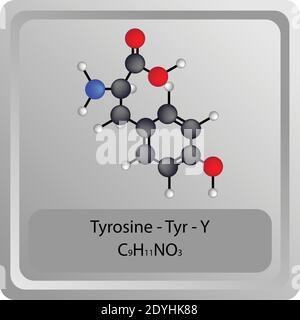 Tirosina – Tyr – struttura chimica degli aminoacidi Y. Molecola modello a sfera e stick di formula molecolare. Biochimica, medicina ed educazione scientifica. Illustrazione Vettoriale