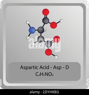 Struttura chimica dell'amminoacido aspartico – ASP – D. Molecola modello a sfera e stick di formula molecolare. Biochimica, medicina ed educazione scientifica. Illustrazione Vettoriale