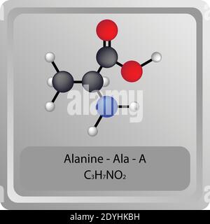Alanina – Ala – una struttura chimica amminoacidica. Molecola modello a sfera e stick di formula molecolare. Biochimica, medicina ed educazione scientifica. Illustrazione Vettoriale