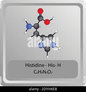 Istidina – HIS – H struttura chimica amminoacidica. Molecola modello a sfera e stick di formula molecolare. Biochimica, medicina ed educazione scientifica. Illustrazione Vettoriale