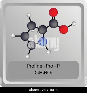 Proline – Pro – P struttura chimica degli aminoacidi. Molecola modello a sfera e stick di formula molecolare. Biochimica, medicina ed educazione scientifica. Illustrazione Vettoriale