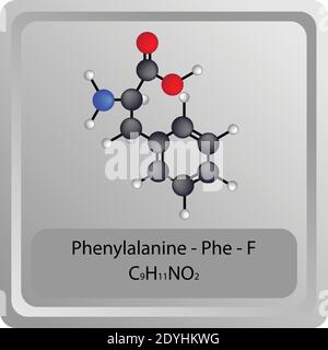 Fenilalanina – Phe – F struttura chimica degli aminoacidi. Molecola modello a sfera e stick di formula molecolare. Biochimica, medicina ed educazione scientifica. Illustrazione Vettoriale