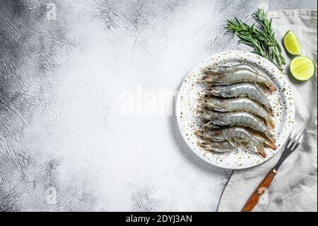 Gamberi di tigre, gamberetti e spezie freschi su un piatto bianco. Sfondo grigio. Vista dall'alto. Spazio di copia Foto Stock