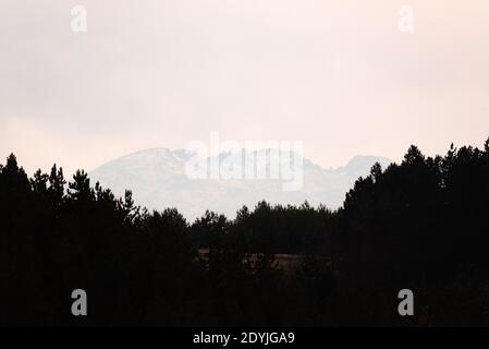 Vista nella profonda valle nebbiosa nel parco nazionale bulgaro, Europa cima collina sopra la valle dietro alberi bianco cielo nebby foto ad alto contrasto Foto Stock