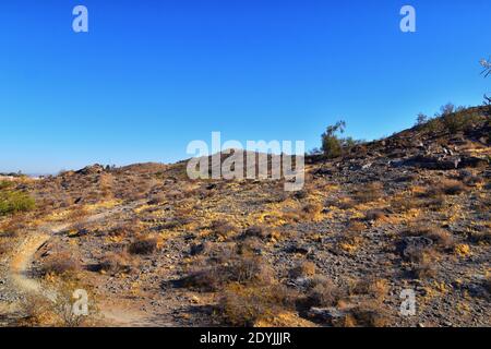 South Mountain Park and Preserve, Pima Canyon Hiking Trail, Phoenix, deserto dell'Arizona meridionale. Stati Uniti. Foto Stock