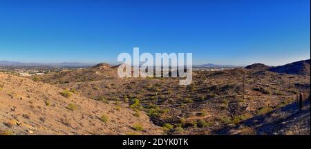 South Mountain Park and Preserve, Pima Canyon Hiking Trail, Phoenix, deserto dell'Arizona meridionale. Stati Uniti. Foto Stock