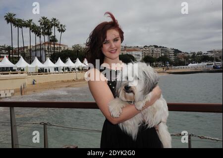 Ashleigh e Pudsey promuovono 'Pudsey: Il film' alla Majestic Beach, parte del 66° film internazionale di Cannes, al Palais De Festival, a Cannes, Francia meridionale, il 16 maggio 2013. Foto di Alban Wyters/ABACAPRESS.COM Foto Stock