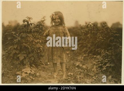 Laura Petty, un picker di 6 anni nella fattoria di Jenkins, Rock Creek vicino a Baltimora, MD. 'Sono appena iniziato'. Ha selezionato due scatole ieri. (2 centesimi per scatola). (Cfr. La mia relazione del 10 luglio 1909). Luglio Foto Stock