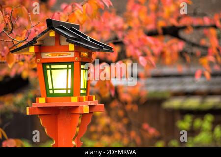 Kyoto Giappone le foglie di caduta rosse, arancioni e gialle si aggrappano sulla tradizionale lanterna dipinta di arancio vicino al santuario di Tatsumi Daimyojin sulla via Shinbashi Dori Foto Stock