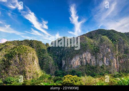 Valle de Vinales, Pinar del Rio, Cuba Foto Stock