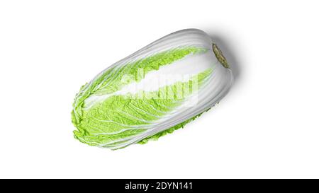 Peching cavolo su sfondo bianco. Foto di alta qualità Foto Stock