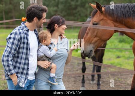 bella famiglia che guarda i cavalli Foto Stock