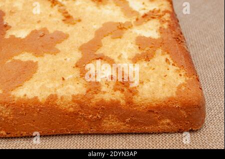 Torta di spugna fatta in casa, in portoghese Pao De lo. Parte inferiore dell'impasto per torte cotto. Isolato su sfondo juto. Primo piano. Foto Stock