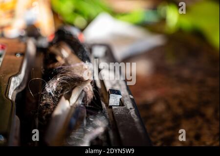 Aspirare i capelli lunghi fino ai rulli smettere di lavorare Foto Stock