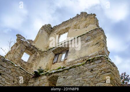 foresta vicino al castello ruine prandegg in der alta regione austriaca mühlviertel Foto Stock