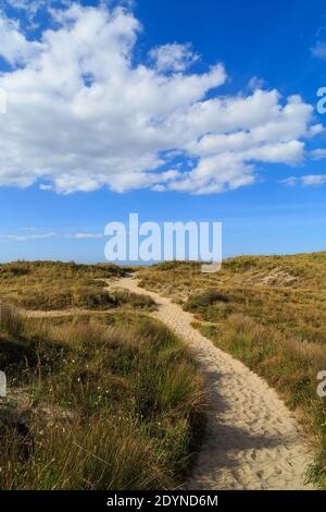 Spiaggia scena. Un percorso sabbioso attraverso le piante di dune, con un cielo estivo blu sopra. Papamoa, Nuova Zelanda Foto Stock