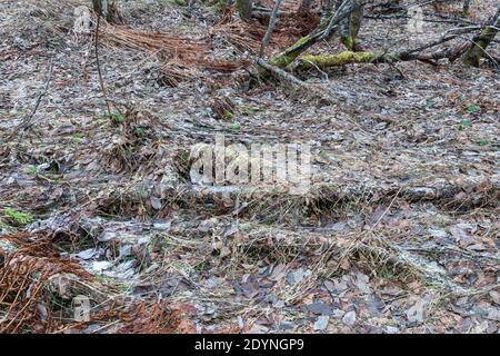 Area escursionistica a Midtre Kaldslett, Tromsdalen, Tromsø, Norvegia. Dicembre 2020. Foto Stock