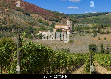 Vista dal vigneto del monastero all'abbazia medievale di San Antimo in un giorno soleggiato di settembre. Montalcino, Italia Foto Stock