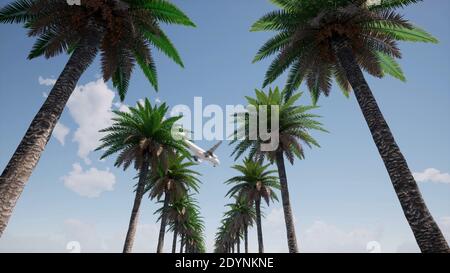 Aereo su palme volo aereo Landscape Island Nature Beach rendering 3d tropicale Foto Stock