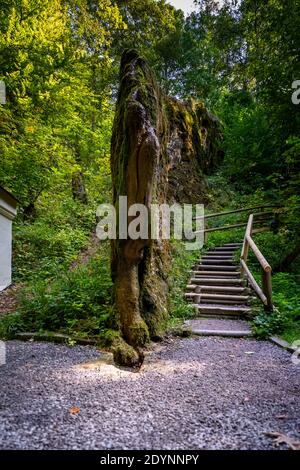 Growing Rock vicino a Landau in Baviera Germania Foto Stock