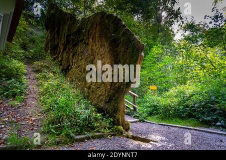 Growing Rock vicino a Landau in Baviera Germania Foto Stock