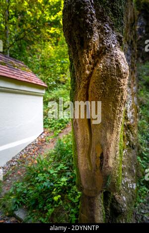 Growing Rock vicino a Landau in Baviera Germania Foto Stock