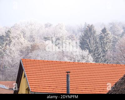 Nuovo tetto in tegole rosse restaurato di una vecchia casa con alberi ricoperti di ghiaccio rime o gelo di remi. Paesaggio da Sighisoara, Romania Foto Stock