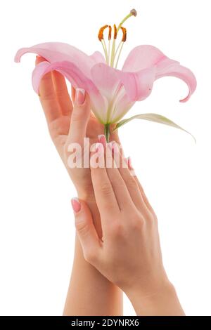 Le mani e le gemme di gigli rosa, per donna, sono gentilmente curate su sfondo bianco. Concetto di spa per la cura del corpo in manicure. Manicure francese. Foto Stock