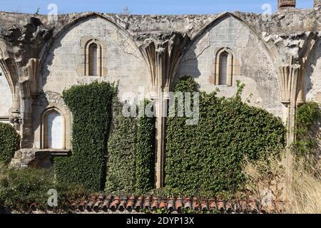 Rovine del Convento di San Francisco el Real o Convento de la Coria resti architettonici ecclesiastici, Trujillo, Provincia di Caceres, Estremadura. Foto Stock