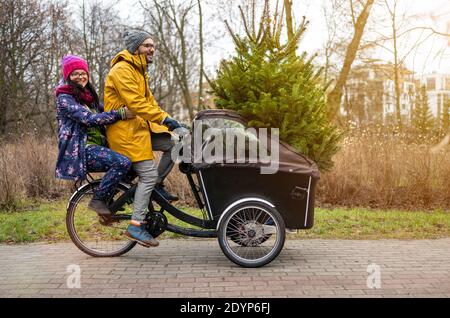 Coppia che ha un giro con la bici del carico che trasporta l'albero di Natale Foto Stock