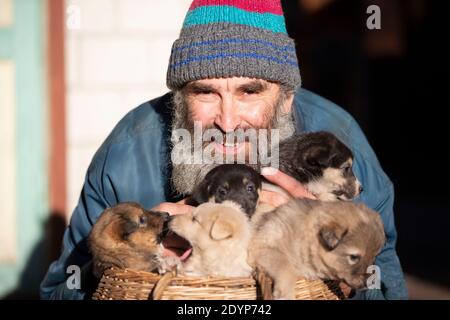 Un uomo anziano con piccoli cuccioli seduti in un cesto di vimini. Allevatore di cani. Venditore di cuccioli. Canile per cani. Foto Stock