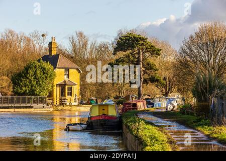 Passeggia lungo il fiume Lea da Ware a Great Amwell Riserva naturale Foto Stock