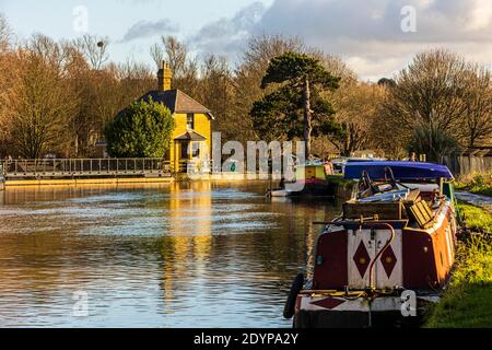 Passeggia lungo il fiume Lea da Ware a Great Amwell Riserva naturale Foto Stock