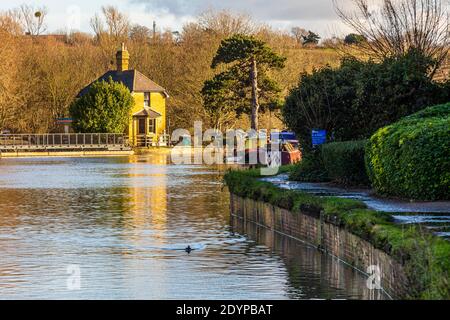 Passeggia lungo il fiume Lea da Ware a Great Amwell Riserva naturale Foto Stock