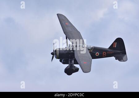 Aeromobili Westland Lyser 1938 in volo. Foto Stock