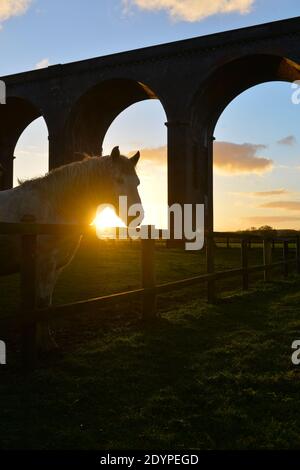 Il sole tramonta dietro il Viadotto di Harringworth, conosciuto anche come Welland Valley Viadotto sul confine del Rutland e Northamptonshire Foto Stock