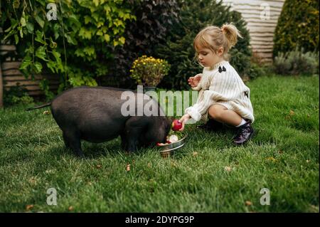 Il capretto alimenta il maiale nero in giardino, prendendosi cura degli animali Foto Stock