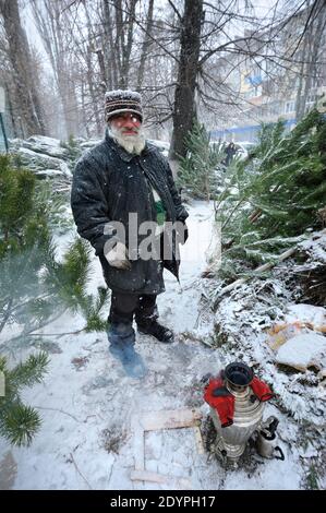 Un vecchio uomo asiatico, venditore di alberi di Natale, in piedi tra i pini accatastati alla stalla all'aperto Foto Stock