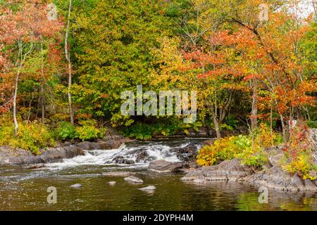 Cascate di Cordova Lago di Cordova Fiume di Crowe Havelock Peterborough County Ontario Canada in autunno Foto Stock