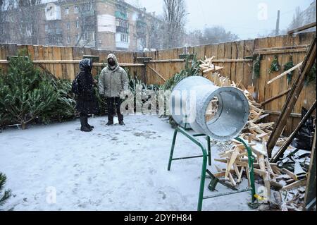 Uomo, venditore di alberi di Natale, in piedi tra i pini accatastati alla stalla all'aperto Foto Stock