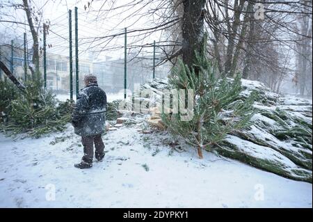 Venditore di alberi di Natale che sta in piedi tra i pini accatastati all'aperto stallo Foto Stock