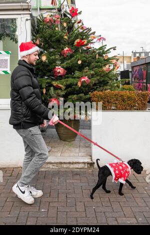 Camminando il cane in un vestito di Babbo Natale il Natale Giorno Foto Stock