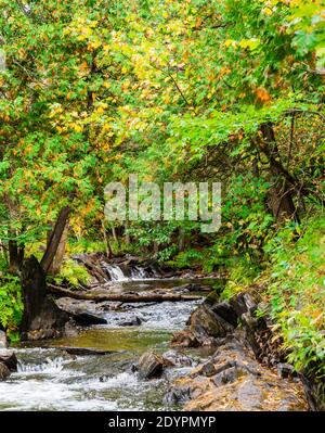 Cascate di Cordova Lago di Cordova Fiume di Crowe Havelock Peterborough County Ontario Canada in autunno Foto Stock