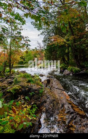 Cascate di Cordova Lago di Cordova Fiume di Crowe Havelock Peterborough County Ontario Canada in autunno Foto Stock