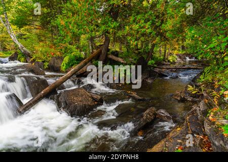 Cascate di Cordova Lago di Cordova Fiume di Crowe Havelock Peterborough County Ontario Canada in autunno Foto Stock